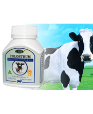 �İ���(����)ţ�����(f��)��Ƭ