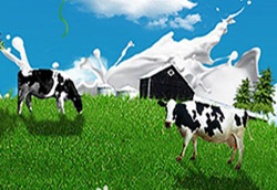 �W�ܶ������Lɳ�Ћ�ͯչ�@���u(p��ng)