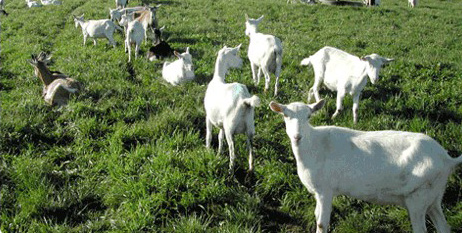 ����������Դ����������������������