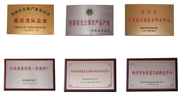 ��˾�s�u�C��