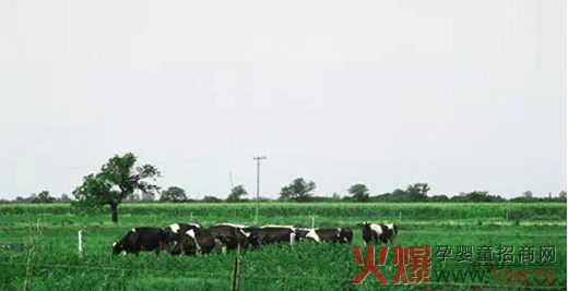 �ƿ���Դ����