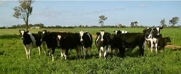 QQ�DƬ20150505170300