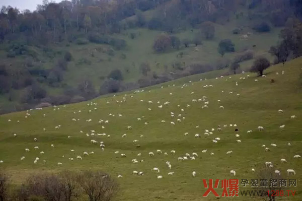 �Pɽ��I(y��)���B(t��i)���� ��(chu��ng)�¹�����ʽ ������H�����B(t��i)����