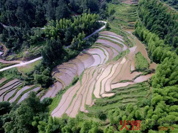 Ʒ�|(zh��)��������֮���׷���Π�(zh��ng)ȡһ�����B�iĸ������