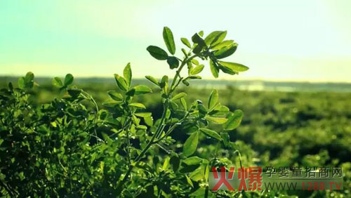 �xɽţ�̟���ӛ��������(ch��ng)������ �����֎ײ���