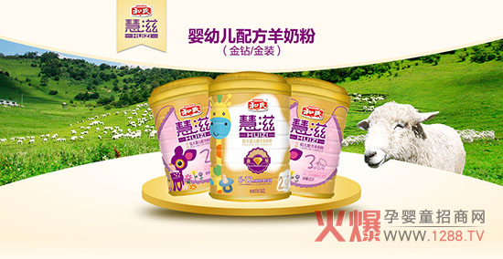 ������ʲô���ۺȺ��ϻ������̷���