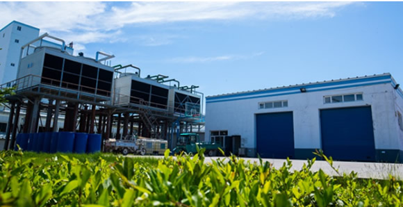 特膳食品的區(qū)別.jpg 特膳食品的區(qū)別.jpg