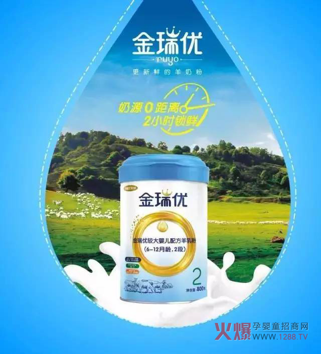 ���̷�+OPO�����ж����