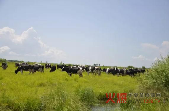 ���_(d��)ɽ�̷۞�Ε��ܵ��@ô���˵�ϲ����