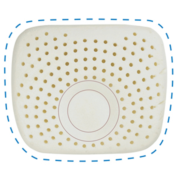 �ʼ�֮�� ��Ȼ���z�냺������ 29 25 5CM.jpg