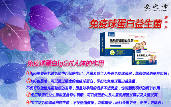 岳之峰免疫球蛋白益生菌凍干粉4