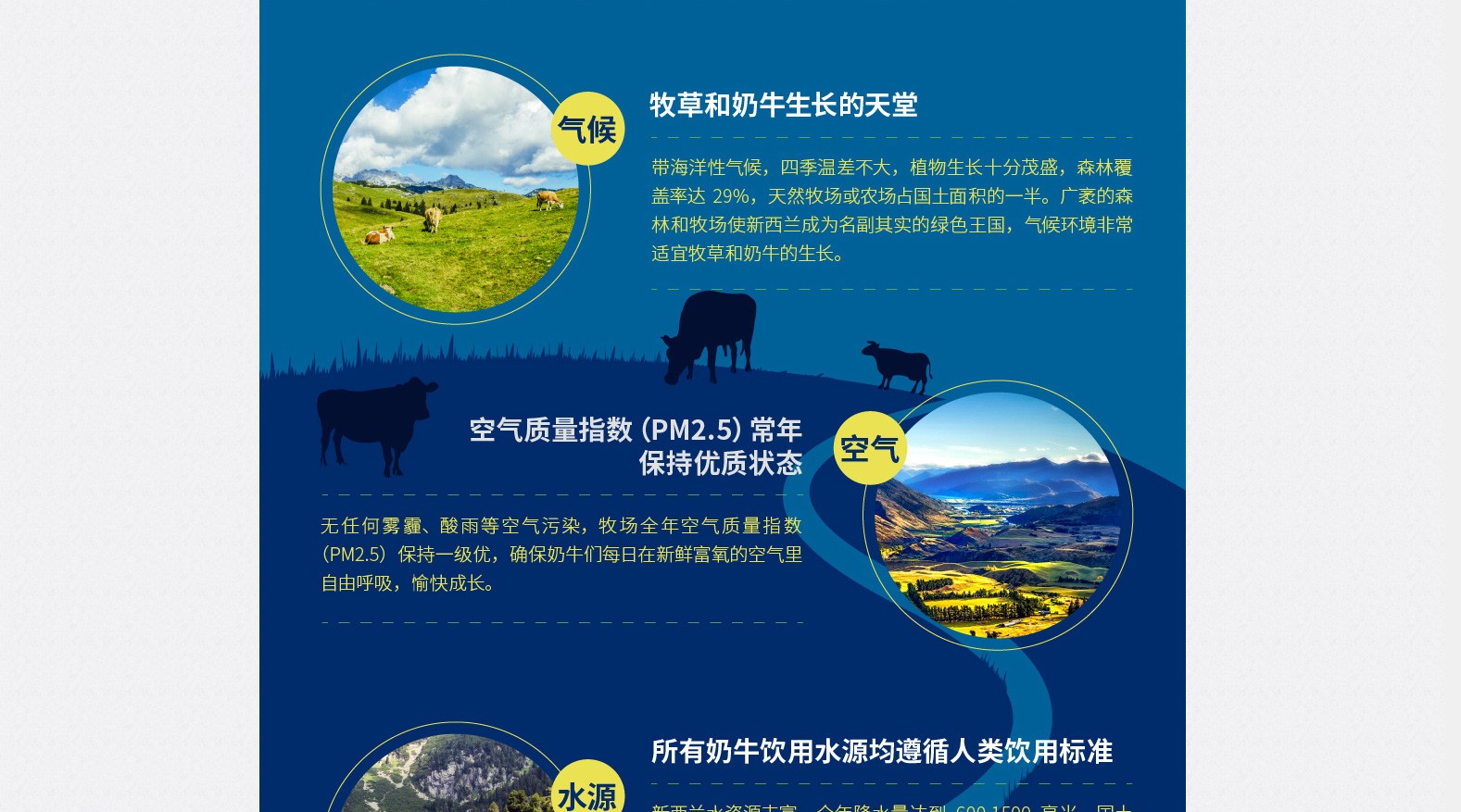  Nuyuca�~Ԫ������