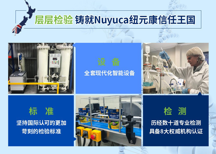  Nuyuca���F�����{�����4