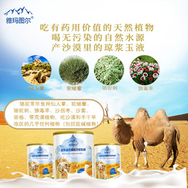 雅瑪圖爾初乳益生菌配方駝乳粉6
