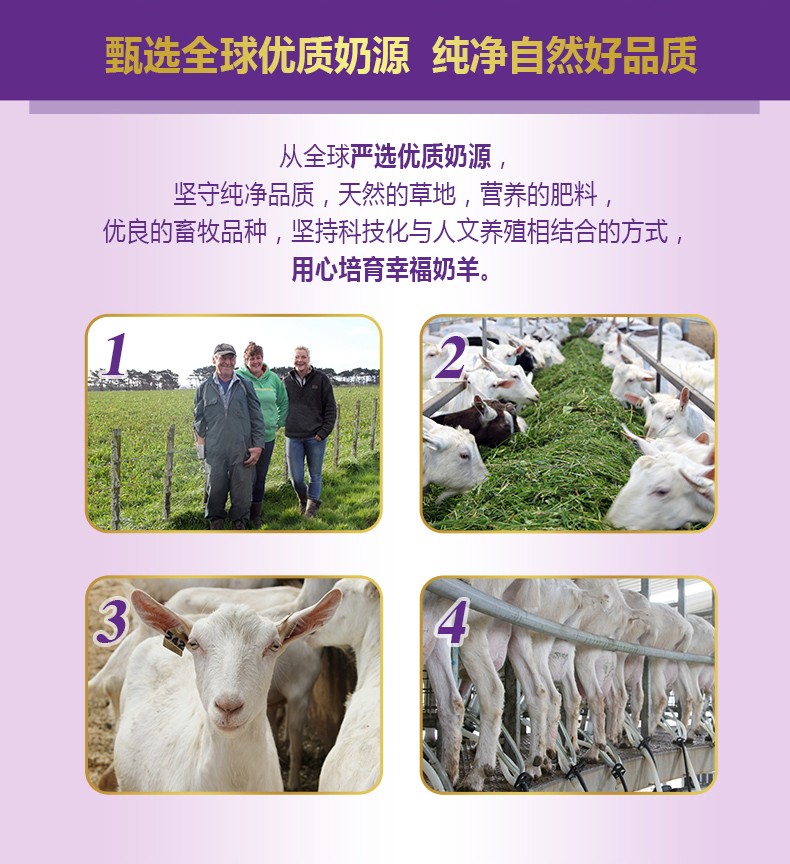  �����׃��䷽���̷ۣ�12-36���g��3�Σ�_03