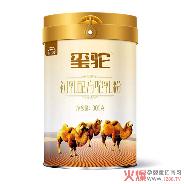 2020�Ă����ӵ��̷ۺ��u��׌�t����۽o�����