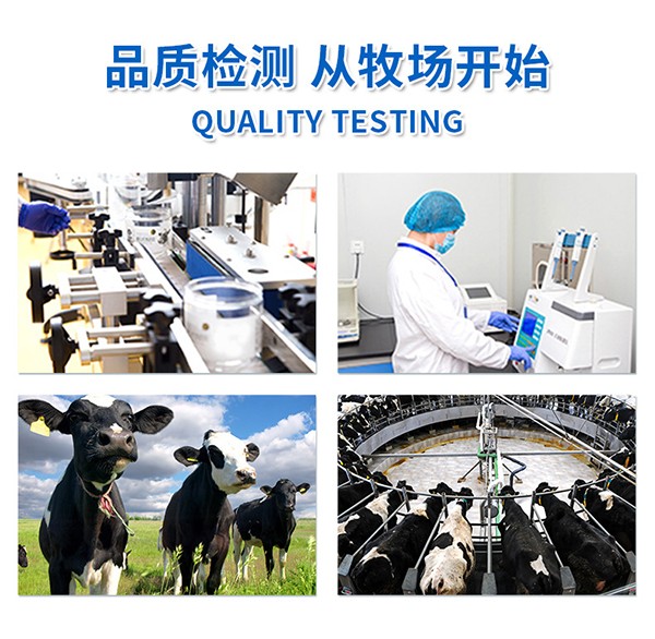 美可芬酪乳豆 紅棗味 (13).jpg