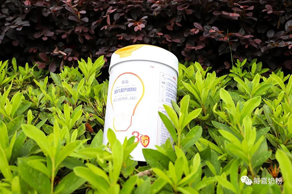 每嘉奶粉深度測(cè)評(píng)2.jpg 每嘉奶粉深度測(cè)評(píng)2.jpg