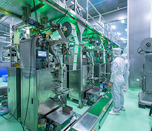  ��������S12