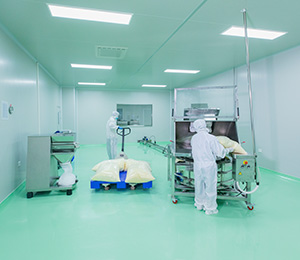  ��������S1