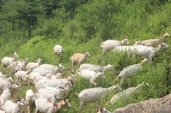 陜西佑慧滋營(yíng)養(yǎng)食品與您相約南京展會(huì)05.jpg 陜西佑慧滋營(yíng)養(yǎng)食品與您相約南京展會(huì)05.jpg