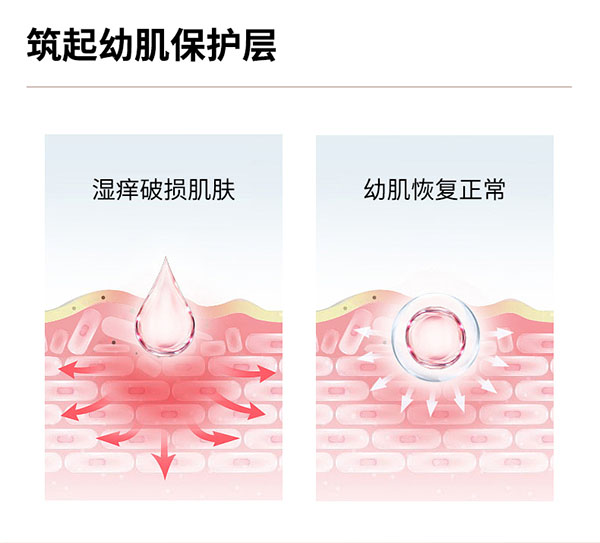 圣諾熊米糠油粉固體飲料 含神經酰胺詳情 (7).jpg