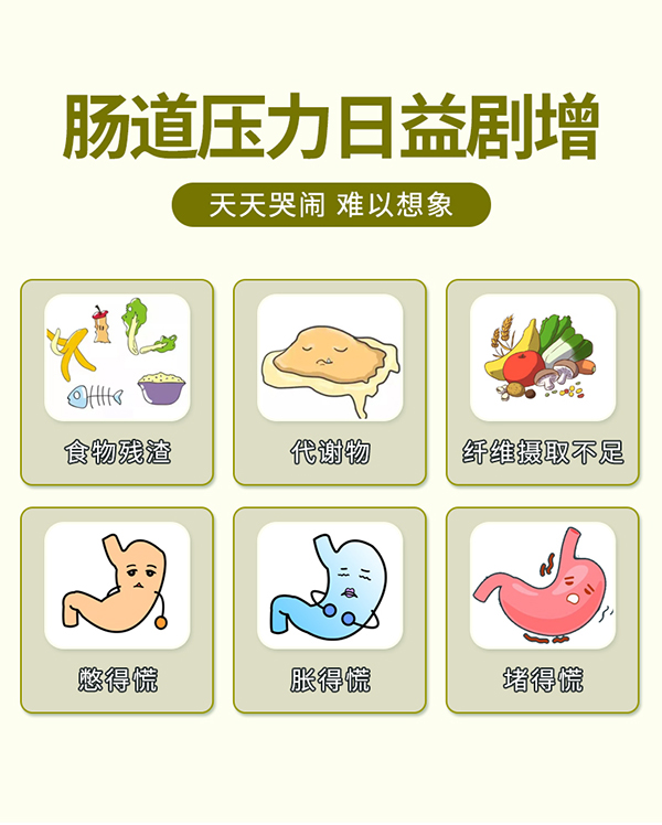 必慧龍菠蘿酵素 固體飲料詳情 (4).jpg