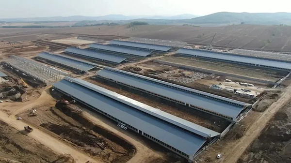 譜華威乳業(yè)集團(tuán)奶牛養(yǎng)殖牧場第三批奶牛入園成功4.jpg 譜華威乳業(yè)集團(tuán)奶牛養(yǎng)殖牧場第三批奶牛入園成功4.jpg