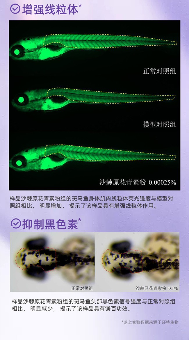 呀啦嗦PQQ蟲草原花青素時光飲詳情 (8).jpg