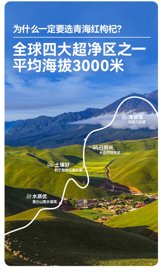 呀啦嗦透明袋枸杞原漿30袋詳情 (3).jpg