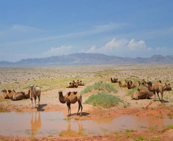 ���ƽz�ĸ�댣�������\(ch��ng)�д����̣���ģʽ���´������o(h��)ȫ�ҽ������\(ch��ng)�����ļ�����