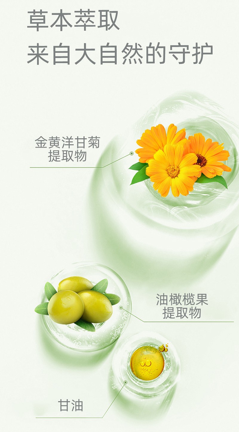 紫嬰童草嬰兒橄欖潤(rùn)膚乳詳情圖_10.jpg