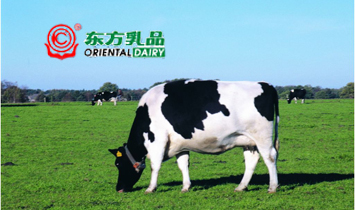 �����|����I(y��)���޹�˾