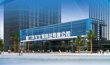 �B�T�A��Ͷ�Y���޹�˾