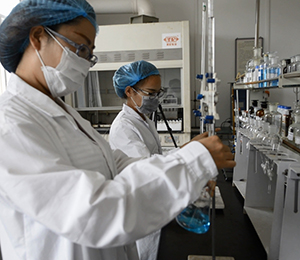 �|�z���Č����