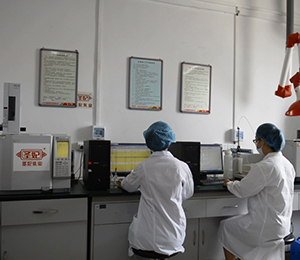 �|�z���Č����