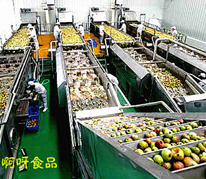 ��ѽʳƷԭ��