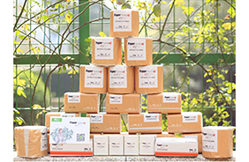 ���oʿ����