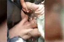 ����ͯ܇�o(w��)؛��