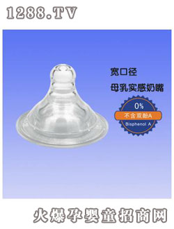 ���ی��ڏ�ĸ�錍������