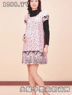 ��ܰ�������ȹ-B308520