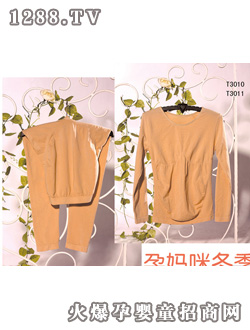 �N�ĿɃ����fϵ���wɫT3010