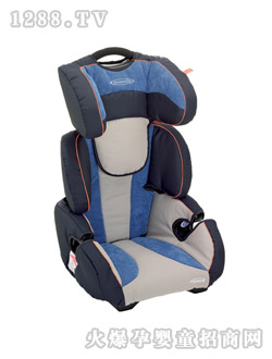 ���L���`��܇��ͯ��ȫ����6065_1096_66