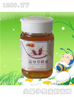 ��ʥ�e�з�ζ��ĸ�ݷ���