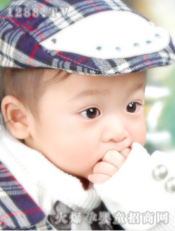 �ɐی���������