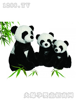 �A������؈HT37661