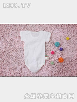 ��������������HB-01