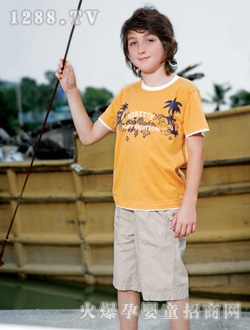 �����ȵ����S�A�IT��