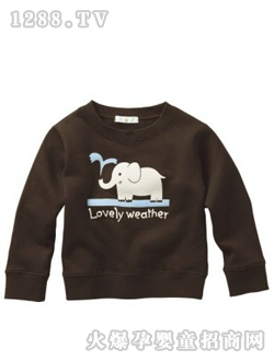 ȫ��ëȦ�L(zh��ng)��T��B��