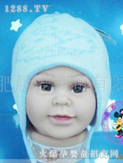 �ɐ�(��i)����ñ��KWS15-003